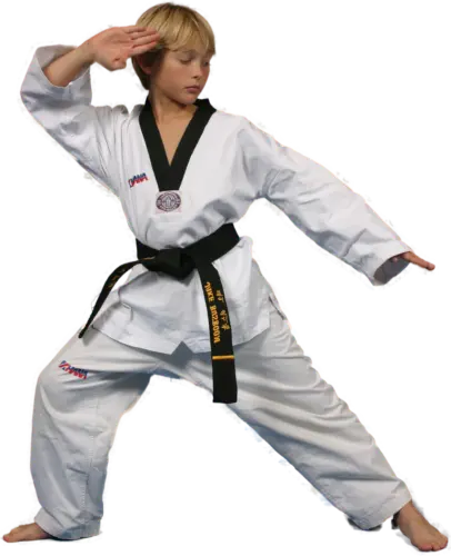 NTA Taekwondo